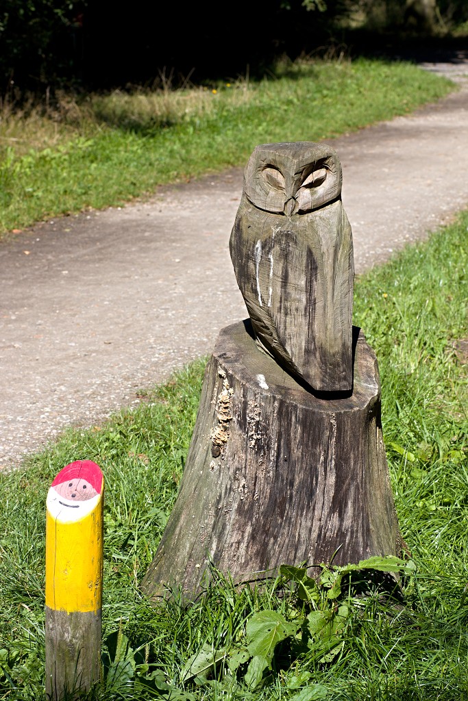 nationaal park de groote peel grote natuurgebied natuur hdr brabant limburg staatsbosbeheer turf veen heide hei bos bossen